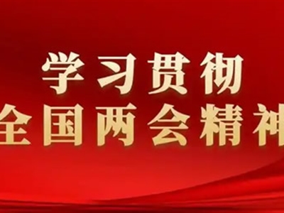 县委书记学习贯彻2025年全国“两会”精神心得体会