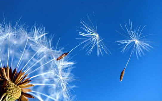 忙碌，是世间最珍贵的良药